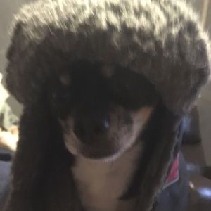 Meet your Posher, Eddie